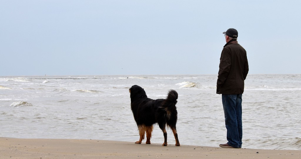 Texel Juni 2013 081